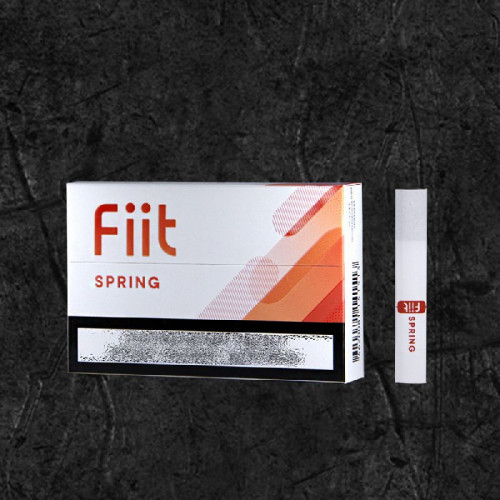 Stick Fiit Spring for Lil Solid (стики Фит Спринг для Лил Солид и Айкос)